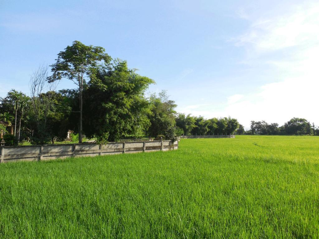 Palm Spa Village Resort Mae Rim Luaran gambar