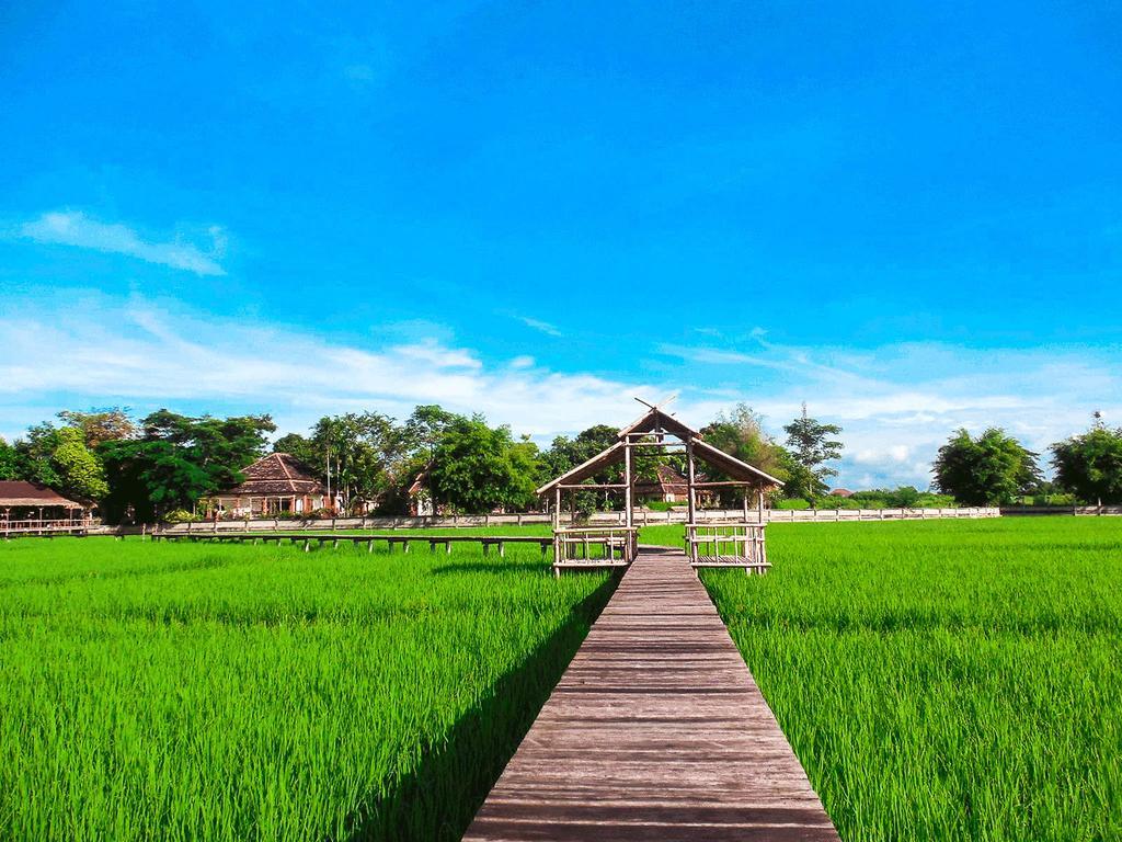 Palm Spa Village Resort Mae Rim Luaran gambar