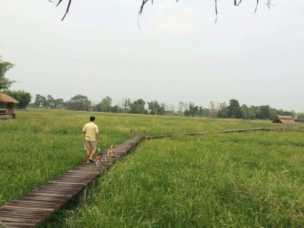 Palm Spa Village Resort Mae Rim Luaran gambar