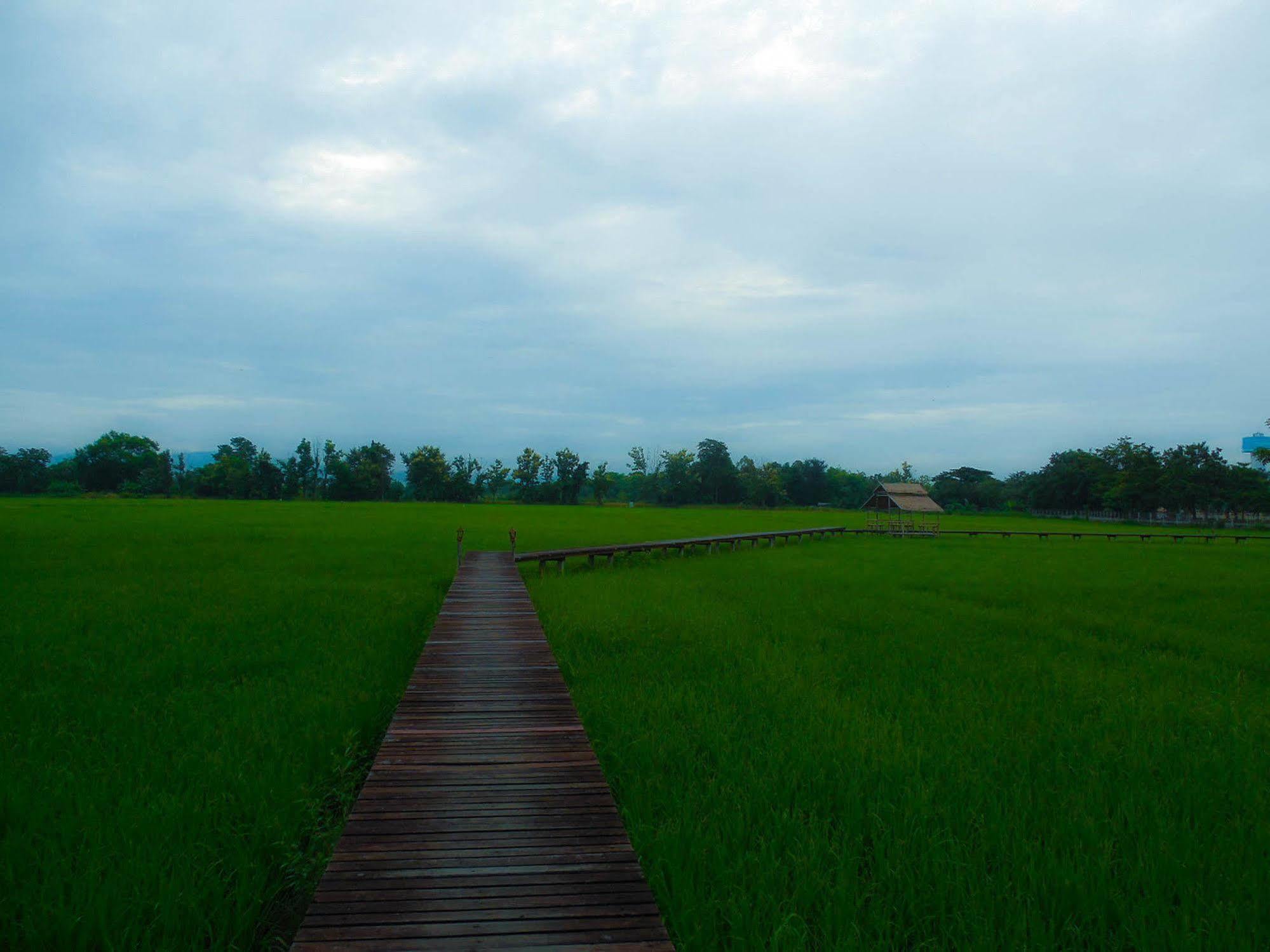 Palm Spa Village Resort Mae Rim Luaran gambar